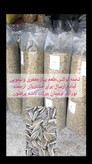 تخمه دورسفید s400 اعلا بوداده درشت طعم لیمونمکی