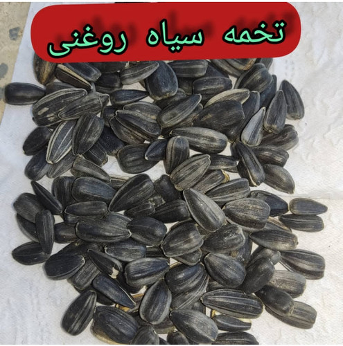 تخمه روغنی خام