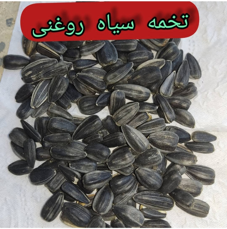 تخمه روغنی خام