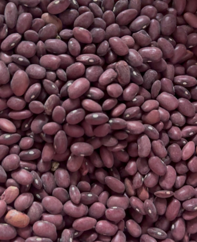 لوبیاقرمز زنجان