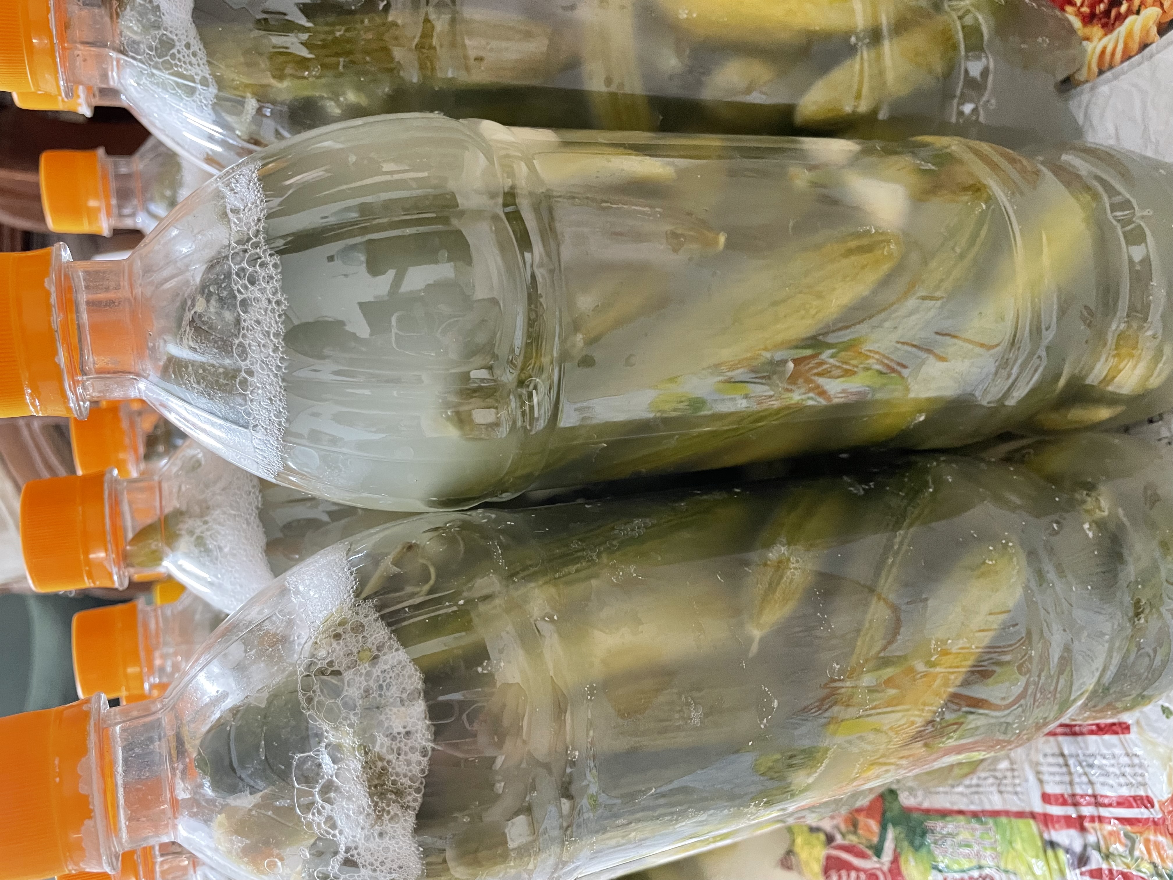 خیارشور
